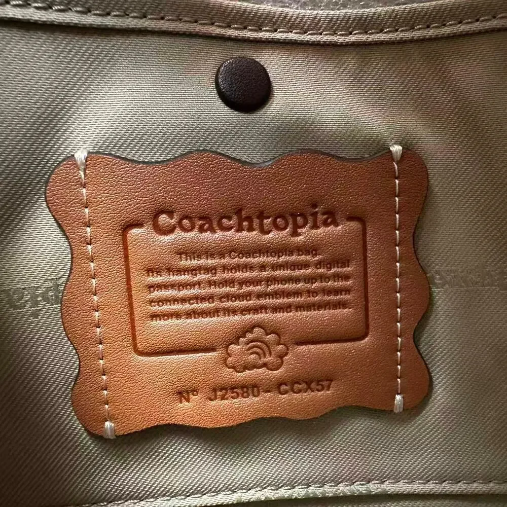 Coach Coachtopia Alter/Ego Crescent Shoulder Bag Leather Suede CCX57 Multi New